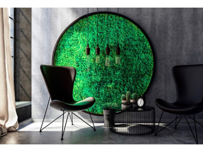 Декоративна штукатурка в інтер'єрі: особливості, переваги та різновиди