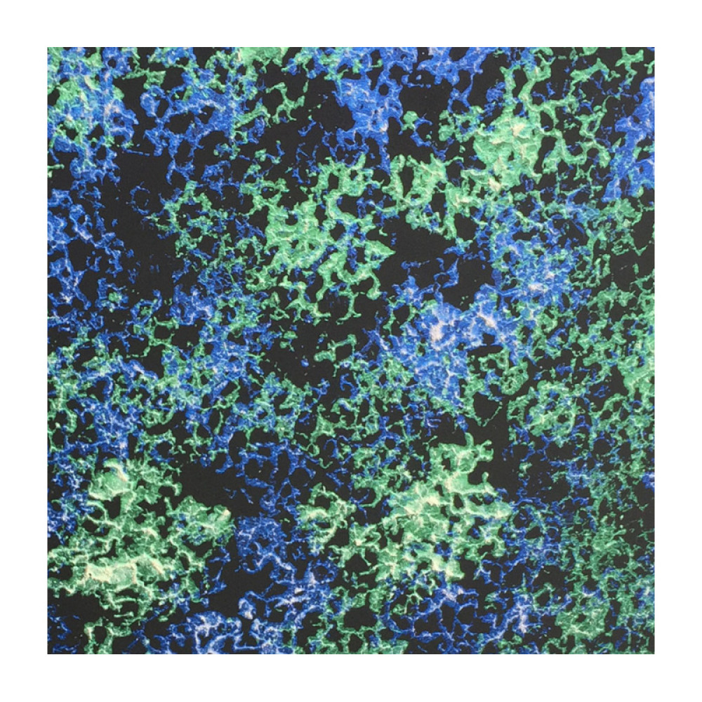 Декоративна штукатурка FOX DEKORATOR Efekt GALAXY BLUE 5m2 Декоративна штукатурка FOX DEKORATOR Efekt GALAXY BLUE 5m2